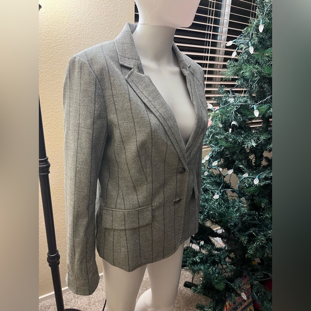 Banana Republic Heather Stripe Grey Stripe Professional Blazer size 10